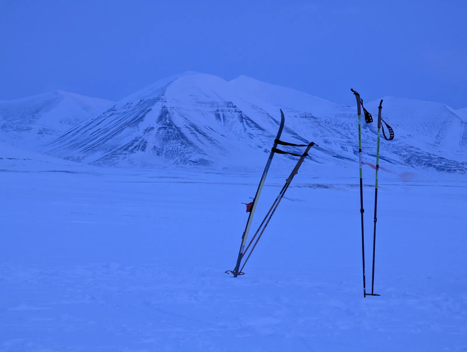 Skis and poles standing in the blue light of the small hours